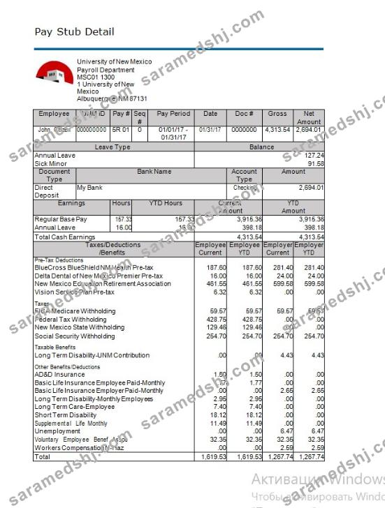 University of New Mexico paystub in  word and pdf formats